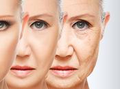 Descubre cómo funciona piel sintética para disimular arrugas