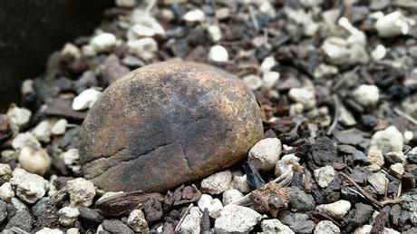 Androidografia Barakaldo 1776