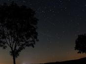 noche