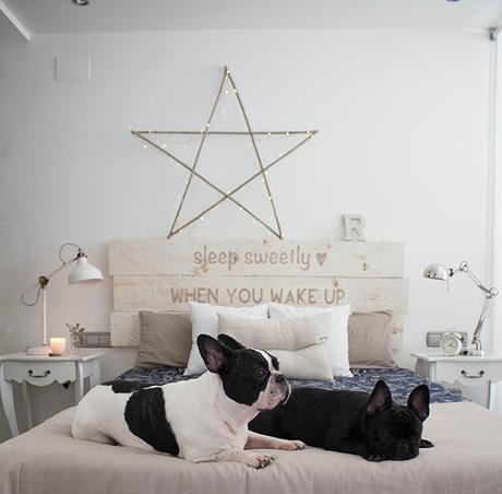 Y tú ¿Qué haces en la cama? Y tú ¿Qué haces en la cama?