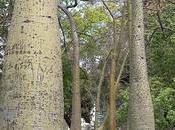 Nuestro rincón favorito