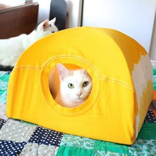 2 Ideas de accesorios lindos para mascotas reciclando camisas