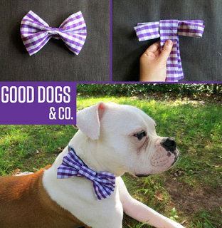 2 Ideas de accesorios lindos para mascotas reciclando camisas