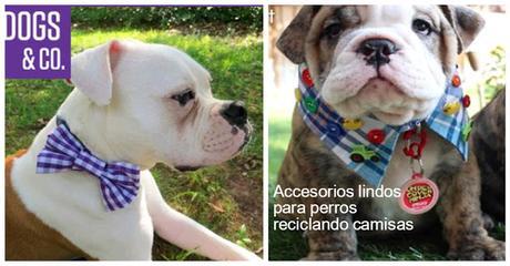 2 Ideas de accesorios lindos para mascotas reciclando camisas