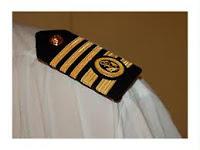 Escaladores y galonistas. Especies en extinción