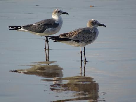 Los colores de San Juan del Sur