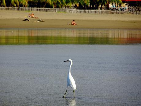 Los colores de San Juan del Sur