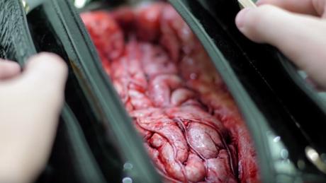 Una impactante cámara oculta para mostrar lo que hay detrás de los productos de cuero