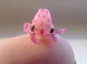 Mira pulpos bebés irrumpiendo mundo