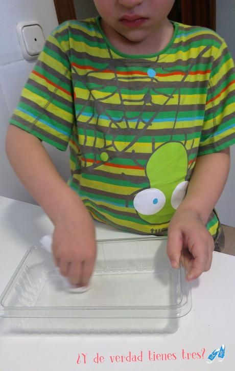 Cultivamos mini sandías con los invernaderos de Science 4 you. ¡Y con sorteo!