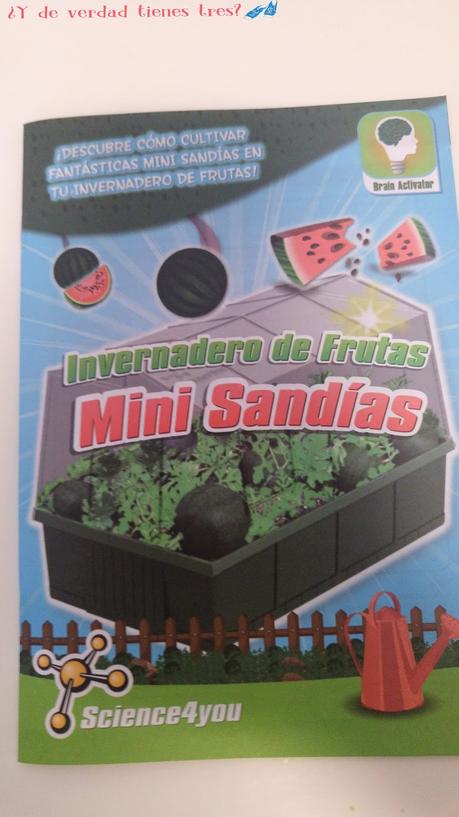 Cultivamos mini sandías con los invernaderos de Science 4 you. ¡Y con sorteo!