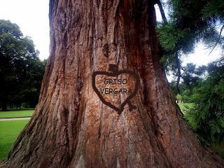 SHARE O NO SHARE SHARE O NO SHARE