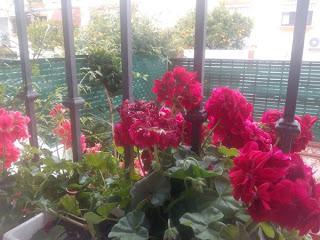 ENSALADA TEMPLADA DE PATATAS CON PIMIENTOS ASADOS Y ATUN