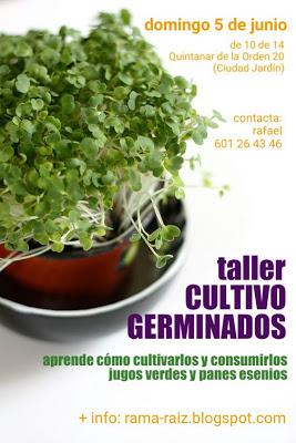 NUEVA FECHA: Taller de Cultivo de Germinados. Domingo 5 de Junio. En Ciudad Jardín. Málaga.