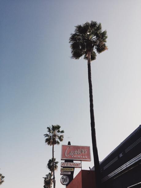 Revolve Festival Diary Processed with VSCO with lv03 preset