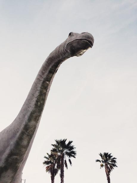 Revolve Festival Diary Revolve_Clothing-Revolve_Festival-Coachella_2016-Tula_Rosa-Privacy_Please-Festival_Looks-Collage_Vintage-23