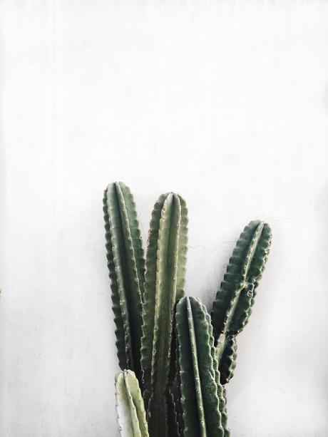 Revolve Festival Diary Revolve_Clothing-Revolve_Festival-Coachella_2016-Tula_Rosa-Privacy_Please-Festival_Looks-Collage_Vintage-68