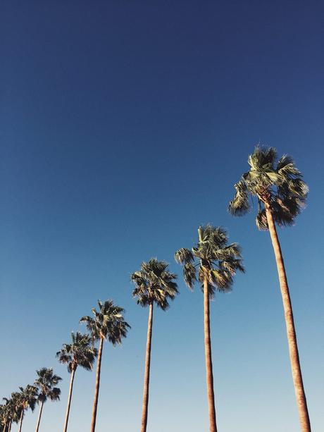 Revolve Festival Diary Revolve_Clothing-Revolve_Festival-Coachella_2016-Tula_Rosa-Privacy_Please-Festival_Looks-Collage_Vintage-12