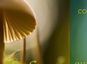 puedo, cuestión incómoda prioridades