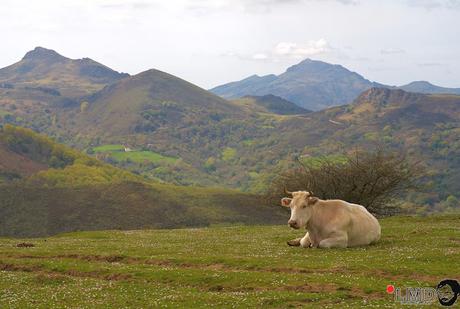 NO TE VAYAS DE NAVARRA: VALLE DE BAZTÁN (I)