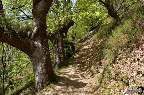 NO TE VAYAS DE NAVARRA: VALLE DE BAZTÁN (I)