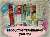 Productos Terminados (Vol.29)