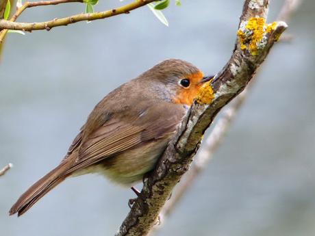 ENCUENTROS AL ATARDECER