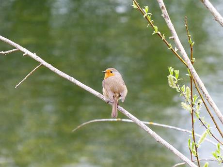 ENCUENTROS AL ATARDECER