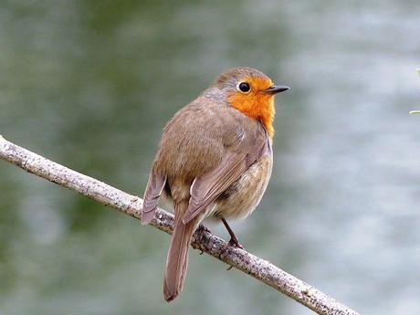 ENCUENTROS AL ATARDECER