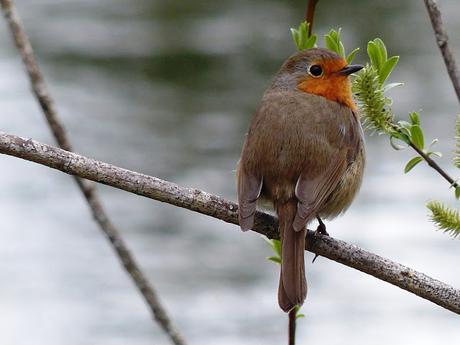 ENCUENTROS AL ATARDECER