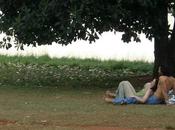 remedios contra aburrimiento