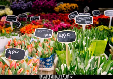 mercado flores amsterdam