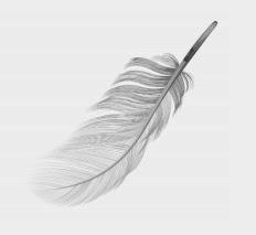 Reseña de Renovatio de  Javier del Ponte