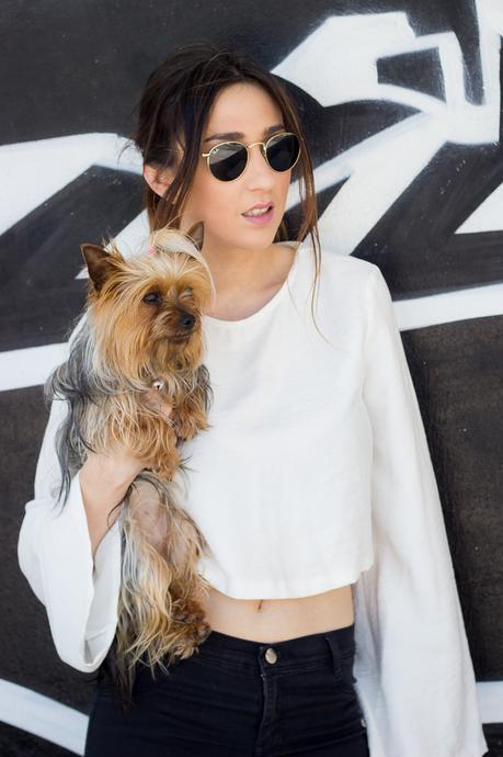 Basics Are Always A Good Idea--- With Dolly