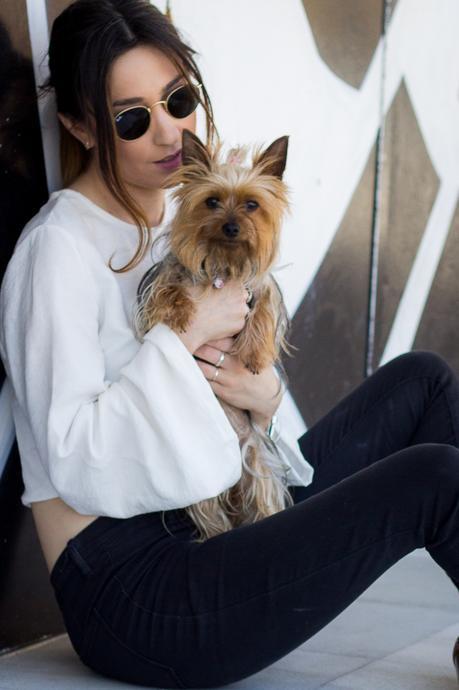 Basics Are Always A Good Idea--- With Dolly