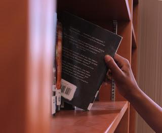 Ser famoso a toda costa