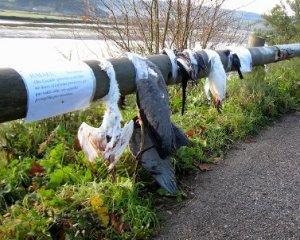 Las amenazas de Don Vito