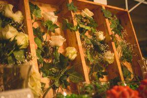 Fotografía Daniel Olea