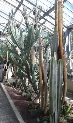 Soy metálico en el jardín botánico