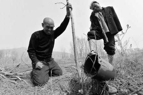 Un ciego y un hombre sin brazos plantan arboles