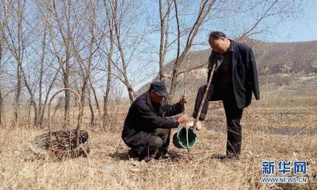 Un ciego y un hombre sin brazos plantan arboles