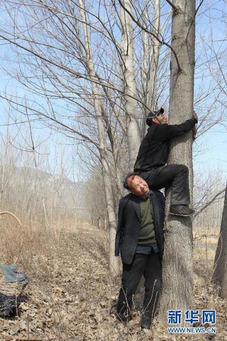 Un ciego y un hombre sin brazos plantan arboles