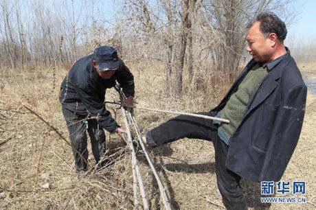 Un ciego y un hombre sin brazos plantan arboles