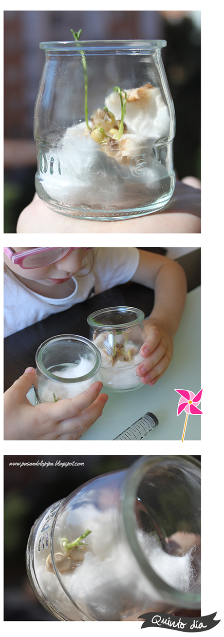 Germinar te va a encantar