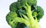 brócoli