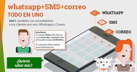 SMS+WhatsApp+Correo 3en1: WhatsAppMarketing, la plataforma más completa para el marketing y la publicidad