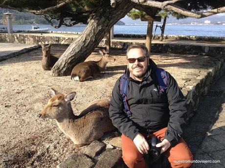 Miyajima; la isla de los dioses y de los hombres