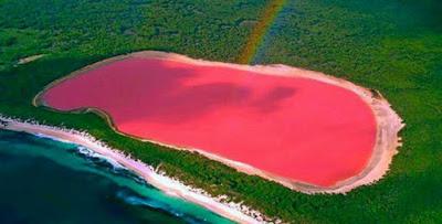 LAGO ROSADO DE AUSTRALIA UNA MARAVILLA NATURAL!