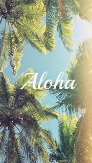 Reseña ~ Aloha, Baby ~ Laura Morales