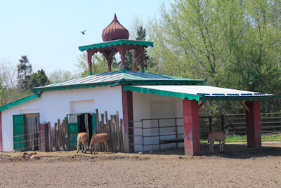 Memorias de Serbia (II) : Palic